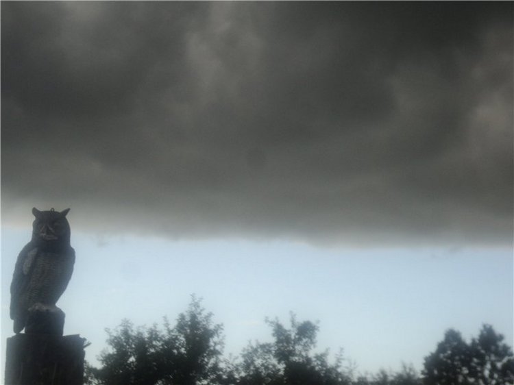 Ждем лета и верим в чудо! Куклы Готц и наряды (фото 4)