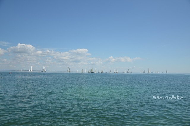 Ассоль-ки. Куколка Ann Estelle от Tonner (фото 8)