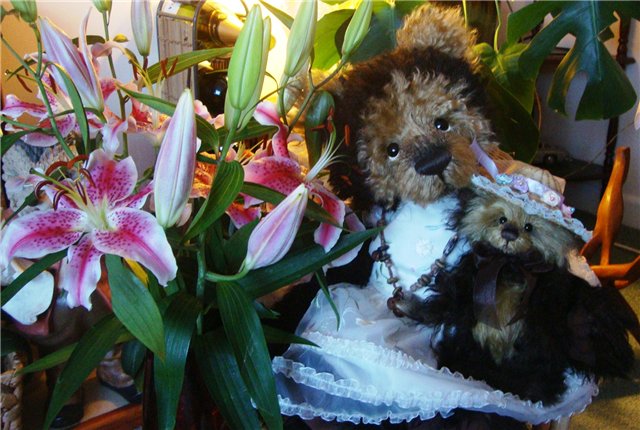 Мишки Тедди CHARLIE BEARS collection