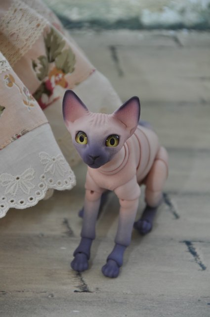 А кто к нам приехал!!! Мей Мей от Кайе Виггз и ее новый друг