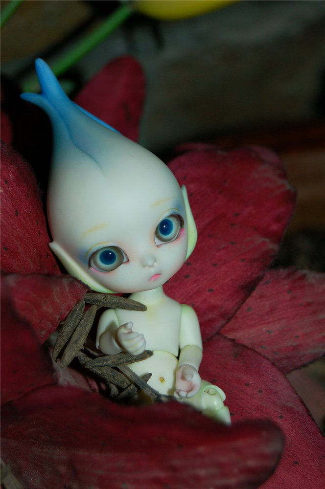 Цветы Dollzone, продолжение (фото 4)