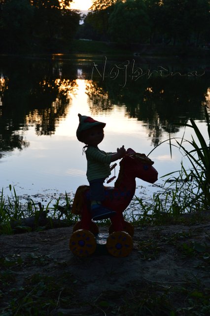 На коне. Вихтели от Rosemarie Anna Muller (фото 4)