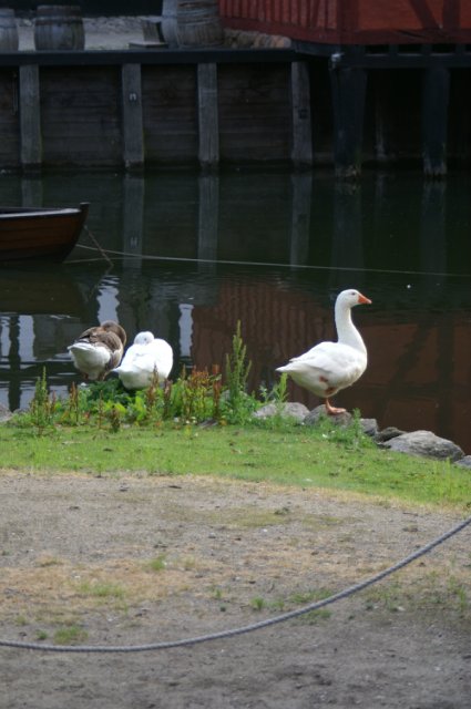 Den Gamle By - живая история Дании