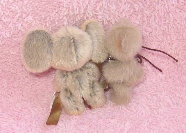 Посылка для Бемби и Фелин