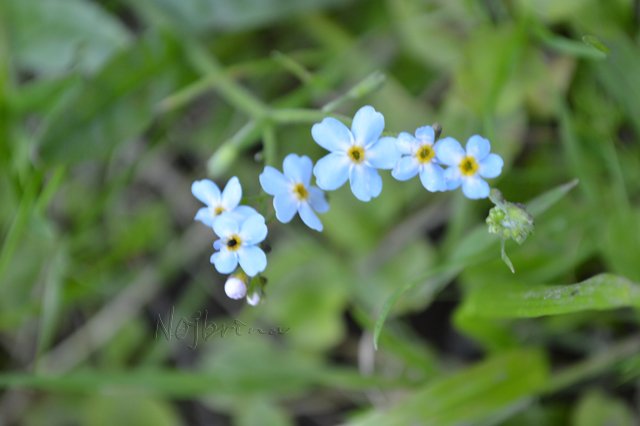 Шито белыми нитками... Вихтели от Rosemarie Anna Muller (фото 10)