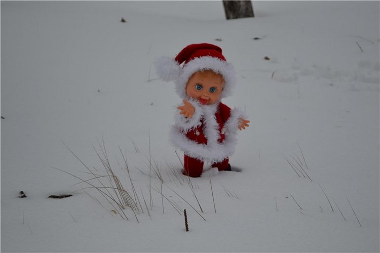 Веселая прогулка Пенни Санты- часть 1 (фото 5)