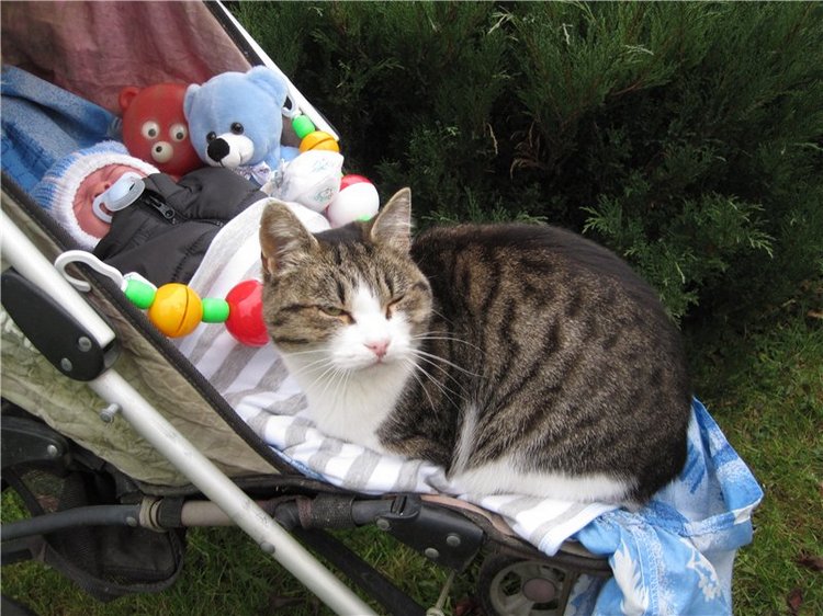 Колыбельная для малыша.Кукла реборн Тимурчик Ольги Астаповской