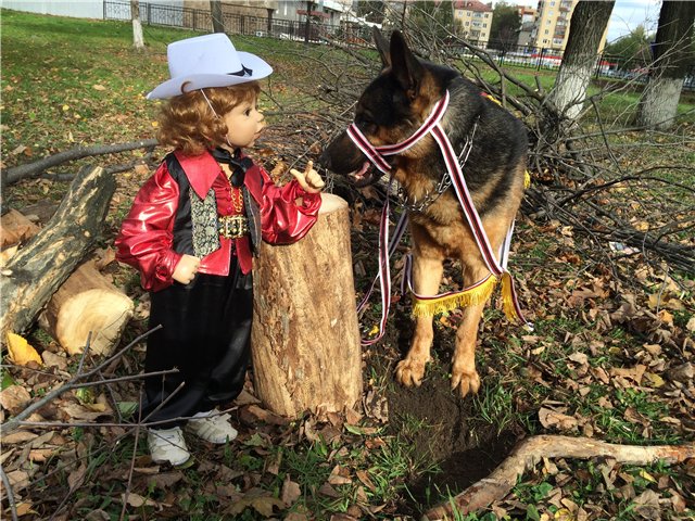 История любви, или К нам приехали цыгане