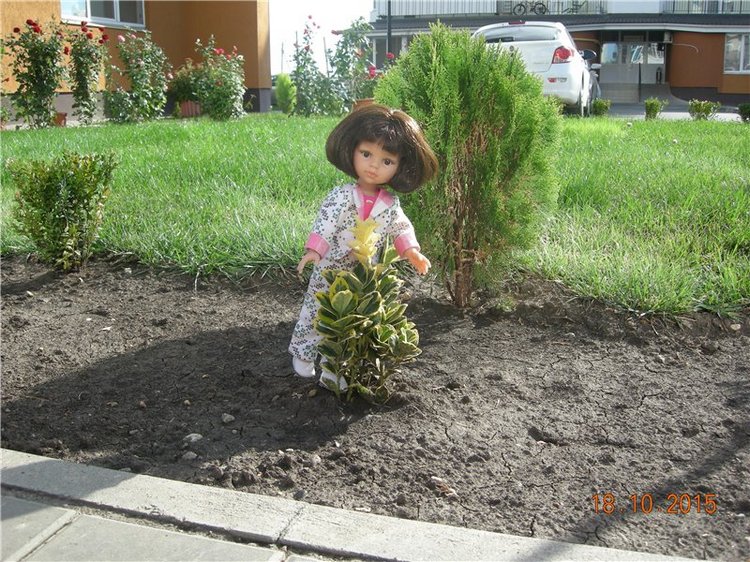 Первые прогулки Алисы — Фэшн (фото 7)