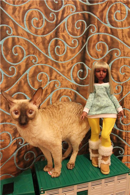 Просто Маня... Манон, Лилликэт