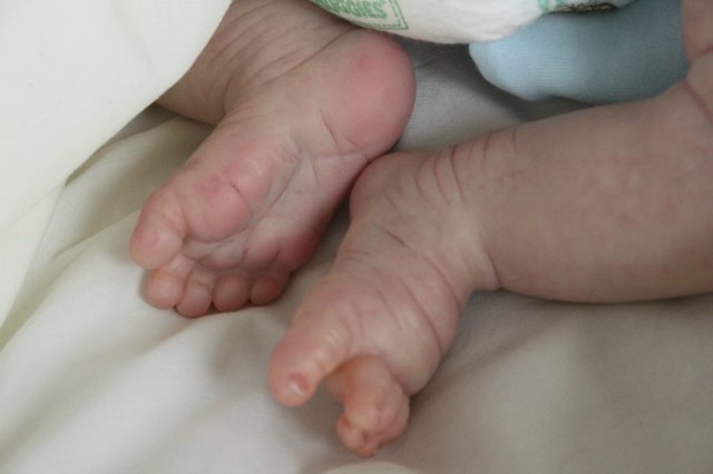 Филипка, кукла реборн Элины Кудрявцевой (фото 2)