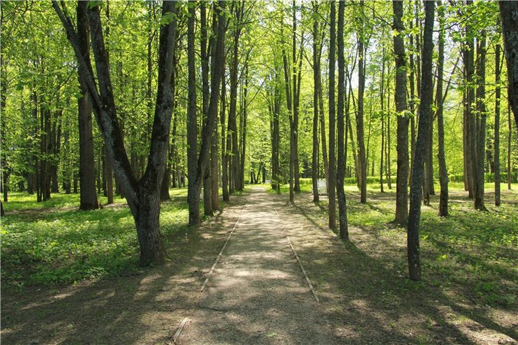 Субботний вояж. Часть вторая | Бэйбики Субботний вояж. Часть вторая (фото 9)