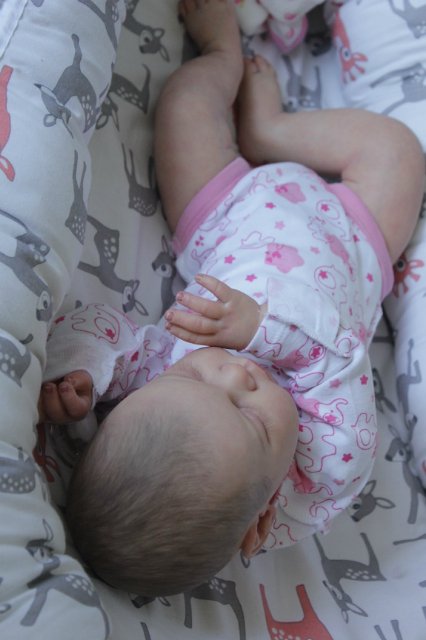 Малышка Ноа,мой нежный цветочек. Кукла реборн Катерины Осиповой-Коняевой