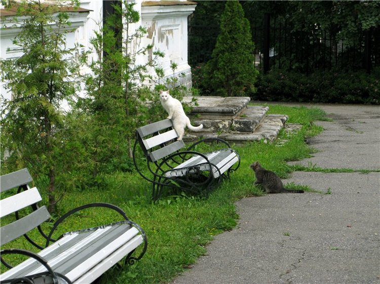 Кашин - город русского сердца. Часть седьмая. Вознесенский кафедральный собор