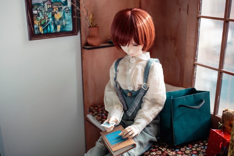 Неизвестный номер — Фотоистории с куклами BJD (БЖД): сериалы (фото 7)