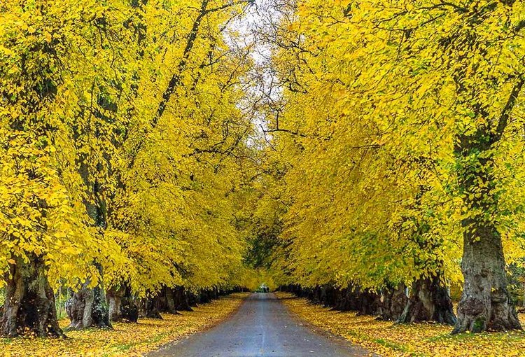 Красотка-осень — Болталка и разговоры обо всем: жизнь