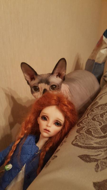 Случайная любовь в преддверии праздника