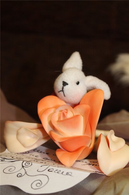 Как мы встречали братишку Гошу! (Цветуля-2). Fairies, Dollzone (фото 5)