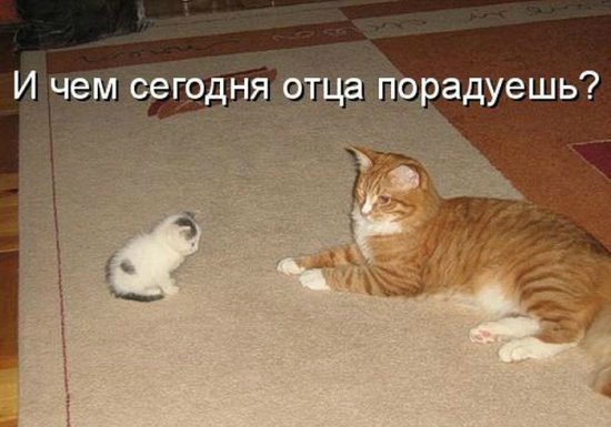 Море позитива) Для поднятия настроения (осторожно! много фото)))) | Бэйбики Море позитива) Для поднятия настроения (осторожно! много фото))))