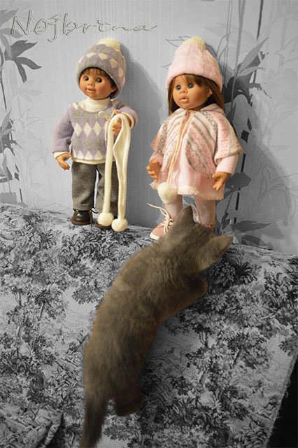 Серый кот. Вихтели Schildkroet (фото 8)