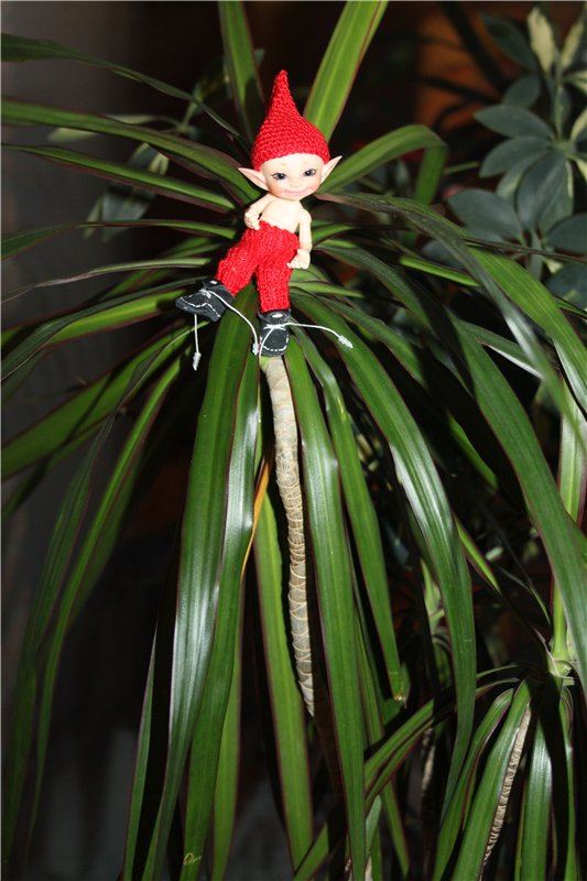 Мечты обязательно должны сбываться,главное в них верить!!! Реалпуки (Realpuki) Сосо - Ягодка