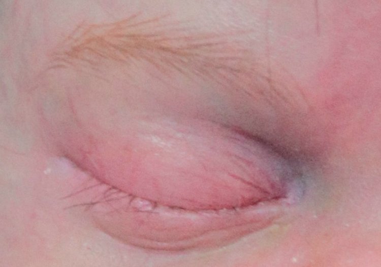 Моя принцесса Крошечка-Кокошечка. Кукла реборн Олеси Венгер