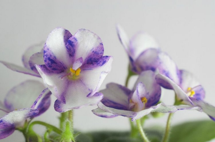 Еще немного о сумасшествии