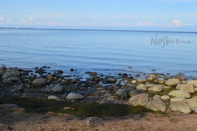 Питер - самый лучший город на земле! Вихтель Rosemarie Anna Muller