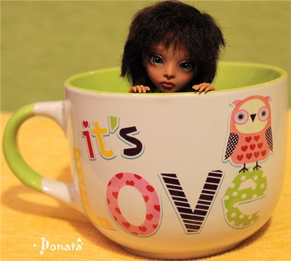 Крошка Тамира. AmiGaTa Cuatra, Тимур Зелеев (фото 3)