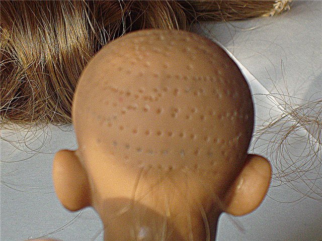 Прошивка волос китайскому испанцу)) (фото 2)