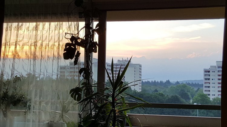 Вид из моего окна, KARLSRUHE