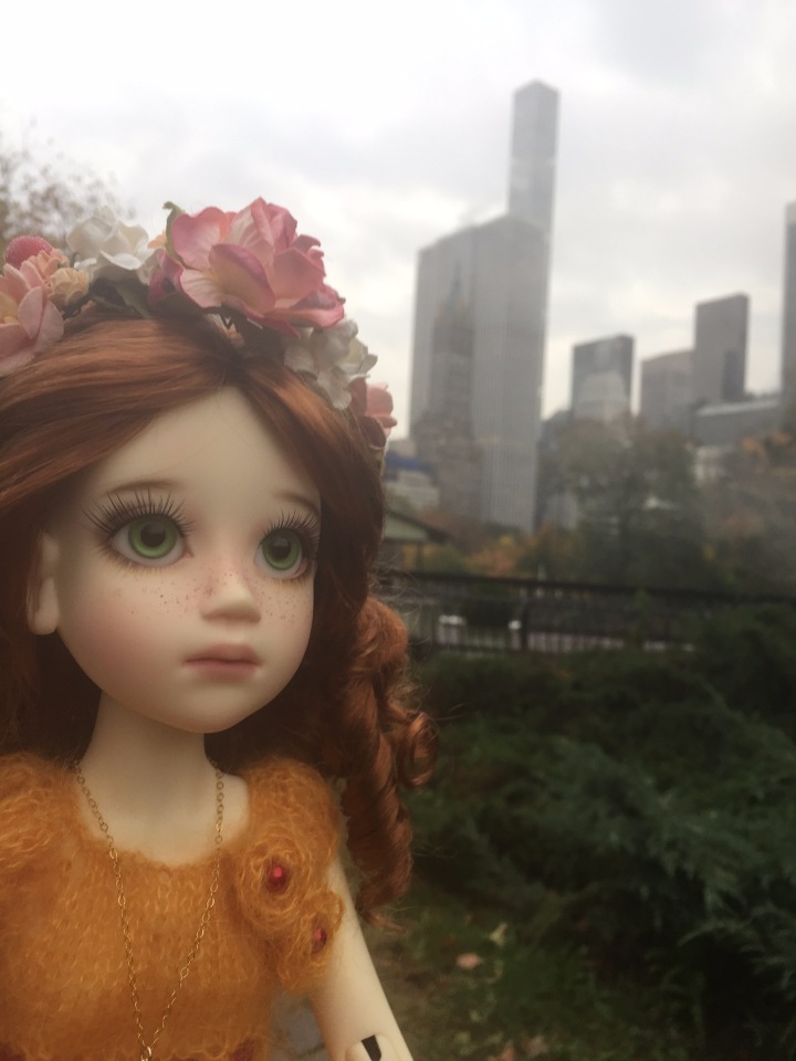 Луна гуляет в Центральном Парке в Манхаттане