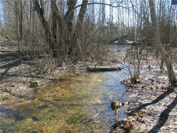 Приключения Адель на водопаде. Джульетта от Sylvia Natterer