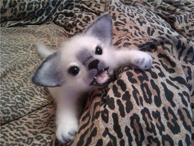 Новенький кот! Игрушка валянием из шерсти (фото 3)