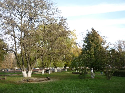 Золотая осень. Старый Оскол, Белгородская область