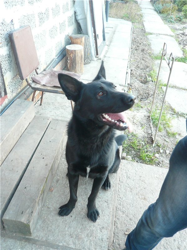 Пупсики родом из детства! Начало коллекции