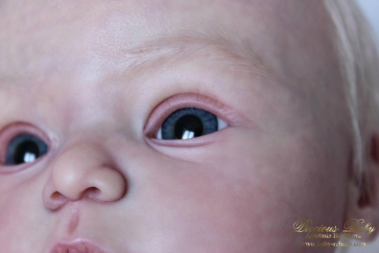 Мы двойняшки! Куклы реборн Анастасии Бочковой