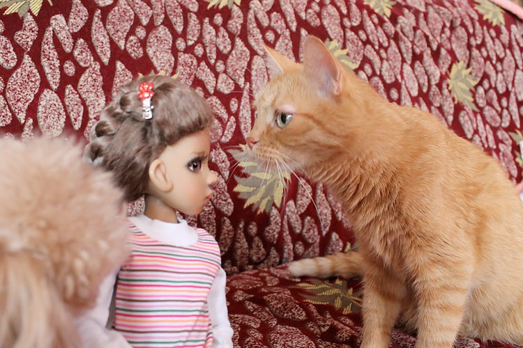 Знакомство Лолы, Kaye Wiggs