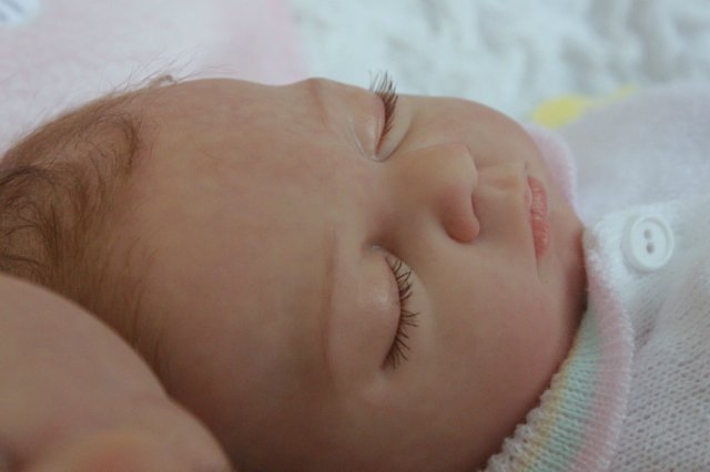 Одинаковые дочки... Куколки реборн Виктории Вишни