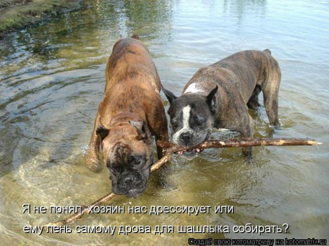 Понедельник - день тяжёлый | Бэйбики Понедельник - день тяжёлый