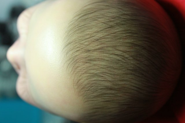 Мои двойняшки-кукла реборн Элины Кудрявцевой