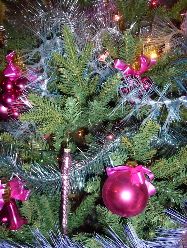 Карнавальная ночь 2015 у взрослых девочек Hildegard Gunzel