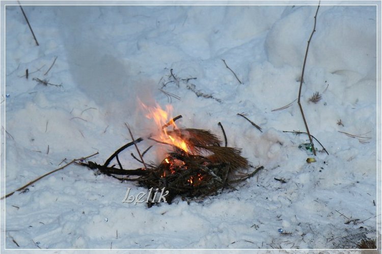 12 месяцев, или как Тамира за подснежниками ходила ) (фото 8)