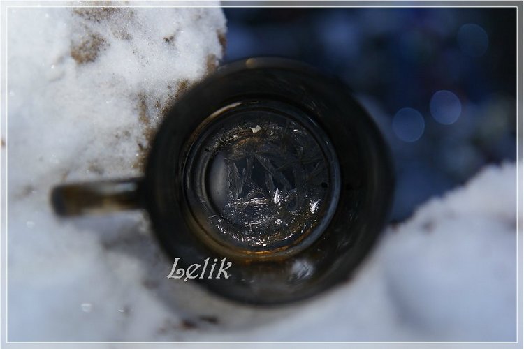 12 месяцев, или как Тамира за подснежниками ходила )