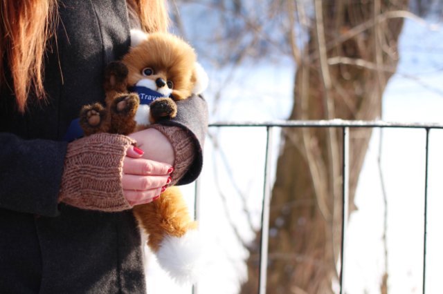 Создание лисёнка — Авторские мишки Тедди и друзья: фото