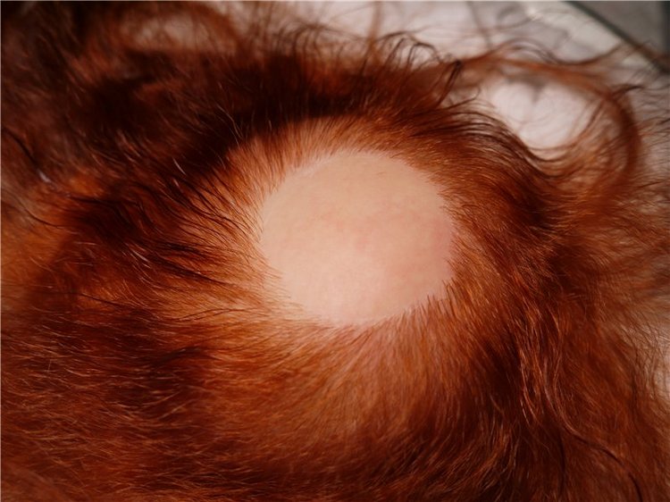 И снова эльфик Лукаша из молдика Офелия, кукла реборн Натальи Фединой, Baby-Zest (фото 3)