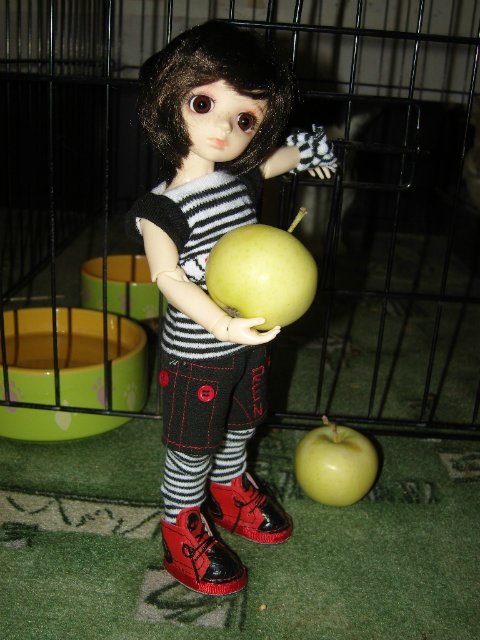 Юннаты - Рен и Ран — Куклы Dollzone (Доллзон): BJD (БЖД) (фото 2)