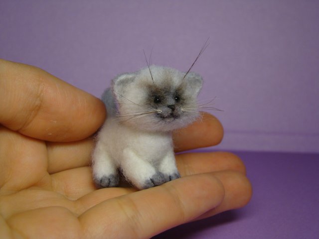 Котик. Авторская игрушка валянием из шерсти Ольги Чернухо (фото 6)