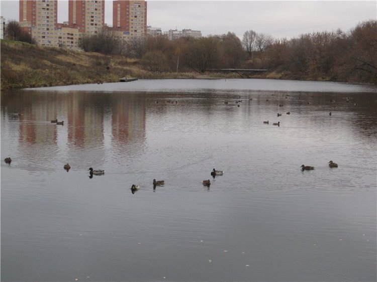 Кирюша. Игровой испанский малышок, фирма Arias (фото 7)