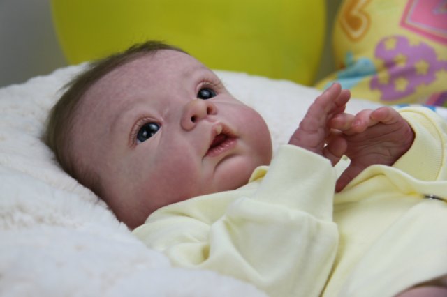 Софийкин! Кукленок реборн Виктории Вишни